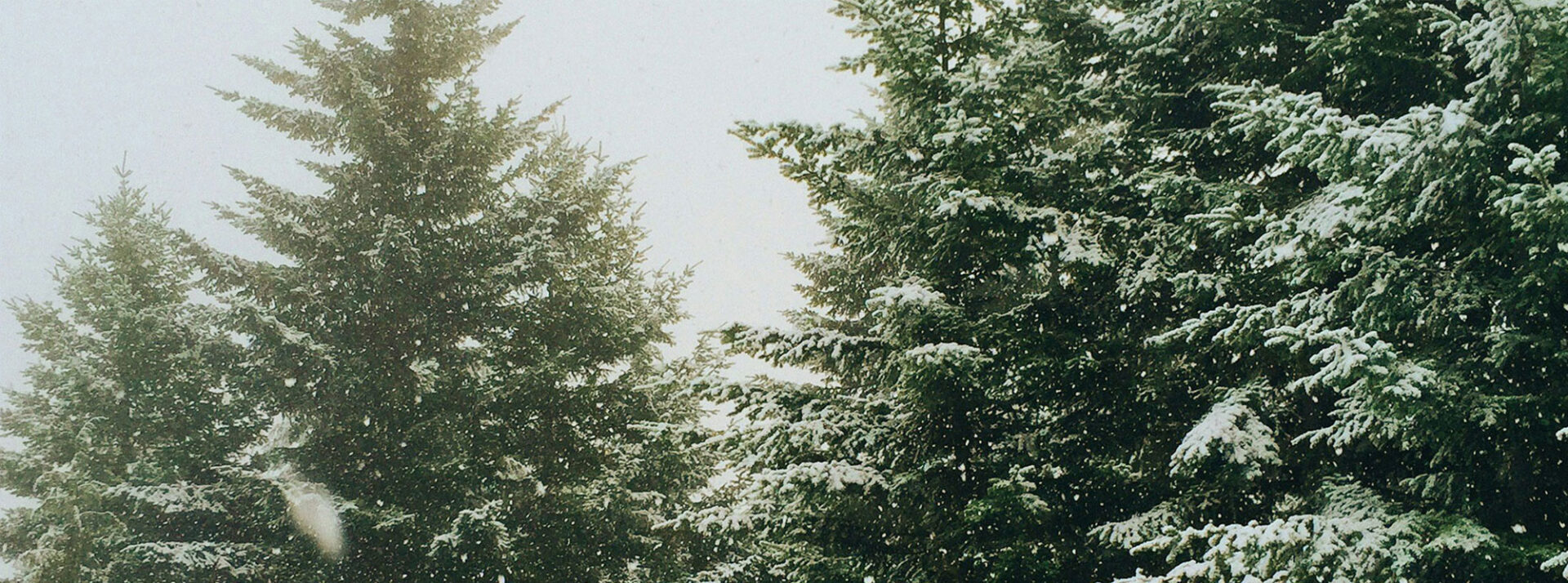 parallax background